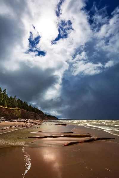 Die Küste Des Einem Kalten Maitag Nowosibirsk Region Reservoir Westsibirien — Stockfoto