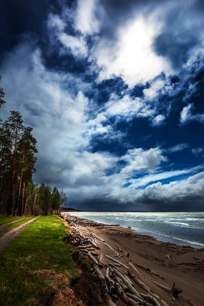 Küste Und Bei Stürmischem Wetter Nowosibirsk Region Reservoir Westsibirien Russland — Stockfoto