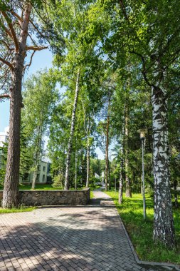 Novosibirsk, Batı Sibirya, Rusya Federasyonu - 2 Haziran 2018: Sibirya şubesi Rus bilim adamlarının ev