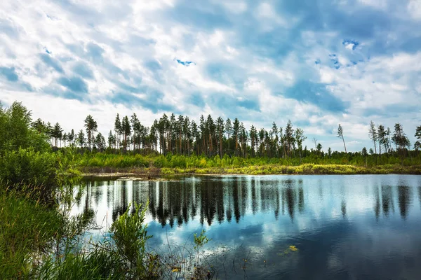 Jezioro Tajga Rano Przy Pochmurnej Pogodzie Nowosybirsk Regionu Zachodniej Syberii — Zdjęcie stockowe