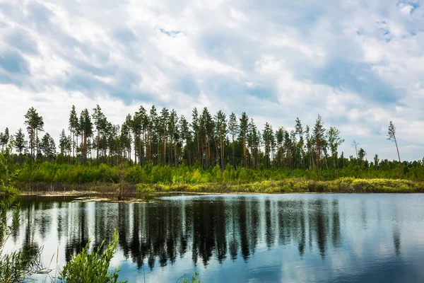 Taiga Lake Morning Cloudy Weather Novosibirsk Region Western Siberia Russia — Stock Photo, Image