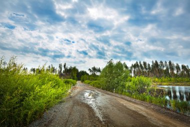 Çakıl yol bataklık üzerinden. Novosibirsk bölgesi, Batı Sibirya, Rusya Federasyonu