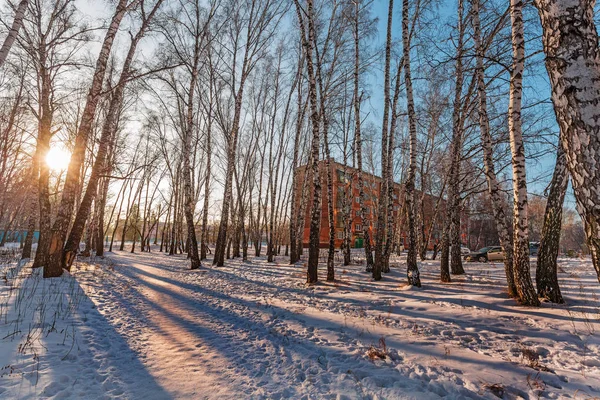 Cidade Berdsk Novosibirsk Oblast Sibéria Ocidental Rússia Dezembro 2017 Paisagem — Fotografia de Stock