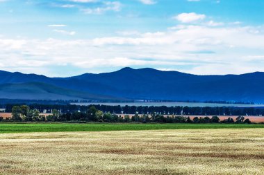 İle arka planda dağların buğday ekili alanlar. Dağ altay, Güney Sibirya, Rusya Federasyonu