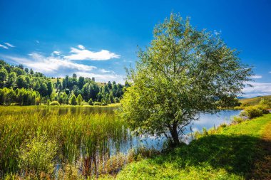 Dammed havuz küçük Kaim nehrinde. Dağ altay, Güney Sibirya, Rusya Federasyonu