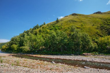 Yaz manzara nehir ile. Kamenka Nehri, Köyü, Altaiskoe, Gorny altay, Güney Sibirya, Rusya Federasyonu