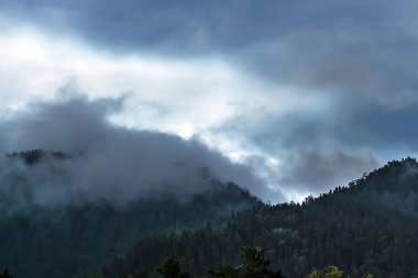 Sis ile karanlık iğne yapraklı Tayga kaplı dağ başında oluşan. Altay Dağları, Katun Nehri bölgesi, Güney Sibirya, Rusya Federasyonu
