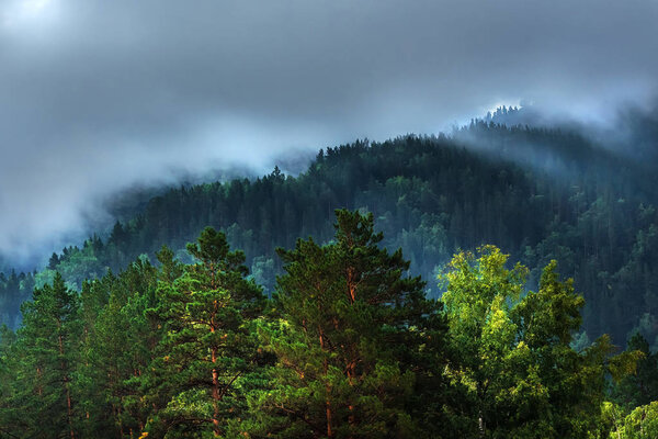 Fog formed on the mountain tops covered with dark coniferous taiga. Altai mountains, Katun river region, southern Siberia, Russia