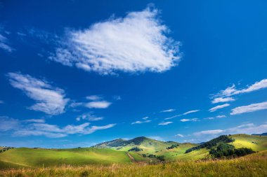 Yaz, yatay, tepeler ve altay dağlarında. Dağ altay, Güney Sibirya, Rusya Federasyonu