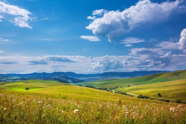 Yaz, yatay, tepeler ve altay dağlarında. Dağ altay, Güney Sibirya, Rusya Federasyonu