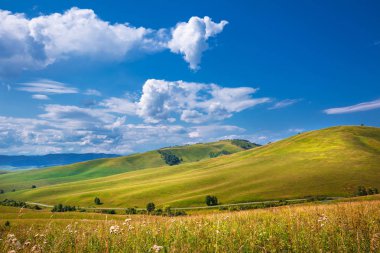 Yaz, yatay, tepeler ve altay dağlarında. Dağ altay, Güney Sibirya, Rusya Federasyonu