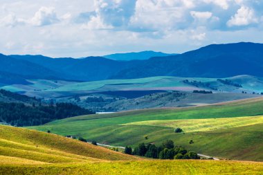 Yaz, yatay, tepeler ve altay dağlarında. Dağ altay, Güney Sibirya, Rusya Federasyonu