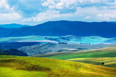 Yaz, yatay, tepeler ve altay dağlarında. Dağ altay, Güney Sibirya, Rusya Federasyonu