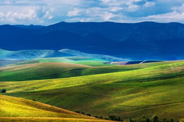 Yaz, yatay, tepeler ve altay dağlarında. Dağ altay, Güney Sibirya, Rusya Federasyonu