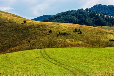 Yaz, yatay, tepeler ve altay dağlarında. Dağ altay, Güney Sibirya, Rusya Federasyonu