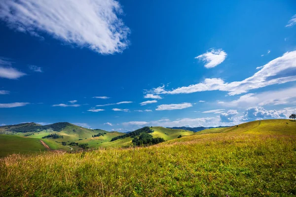 Yaz, yatay, tepeler ve altay dağlarında. Dağ altay, Güney Sibirya, Rusya Federasyonu