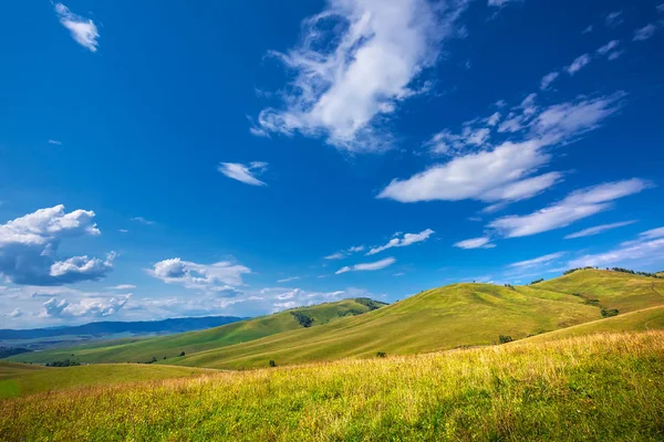 Yaz, yatay, tepeler ve altay dağlarında. Dağ altay, Güney Sibirya, Rusya Federasyonu