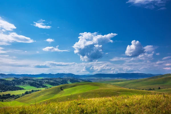 Yaz, yatay, tepeler ve altay dağlarında. Dağ altay, Güney Sibirya, Rusya Federasyonu