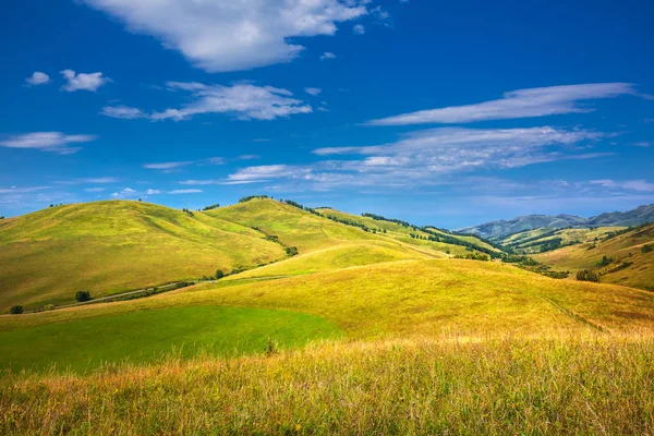 Zomer Landschap Met Heuvels Bergen Van Altaj Berg Altaj Zuid — Stockfoto