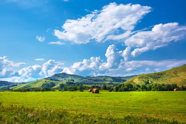 Yaz, yatay, tepeler ve altay dağlarında. Dağ altay, Güney Sibirya, Rusya Federasyonu