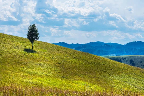 Letní Krajina Kopce Hory Altaji Horský Altaj Jižní Sibiř Rusko — Stock fotografie