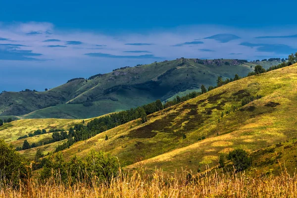 Letní Krajina Kopce Hory Altaji Horský Altaj Jižní Sibiř Rusko — Stock fotografie