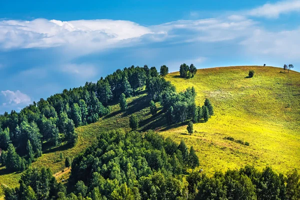 Yaz, yatay, tepeler ve altay dağlarında. Dağ altay, Güney Sibirya, Rusya Federasyonu