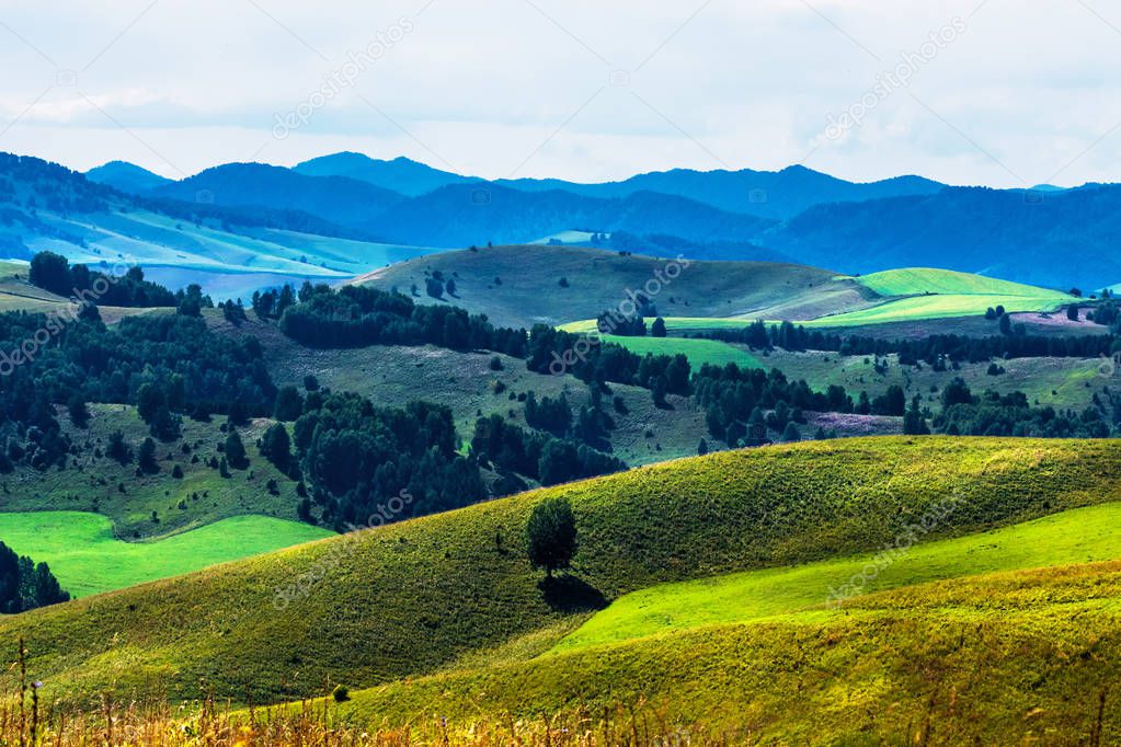 Summer landscape with hills and mountains of the Altai. Mountain Altai, Southern Siberia, Russia