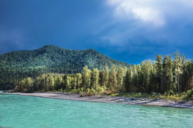Turkuaz renkli suların Katun nehrin karşı dağlarda yaz. Dağ altay, Güney Sibirya, Rusya Federasyonu