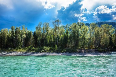Turkuaz renkli suların Katun nehrin karşı dağlarda yaz. Dağ altay, Güney Sibirya, Rusya Federasyonu