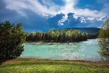 Turkuaz renkli suların Katun nehrin karşı dağlarda yaz. Dağ altay, Güney Sibirya, Rusya Federasyonu