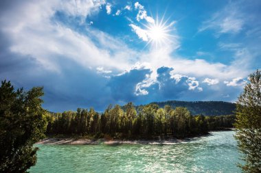 Turkuaz renkli suların Katun nehrin karşı dağlarda yaz. Dağ altay, Güney Sibirya, Rusya Federasyonu