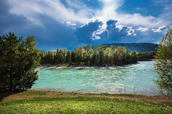 Turkuaz renkli suların Katun nehrin karşı dağlarda yaz. Dağ altay, Güney Sibirya, Rusya Federasyonu