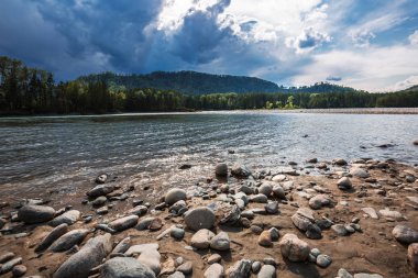 Yuvarlak taşlarla bared Katun nehir kıyısında. Dağ altay, Güney Sibirya, Rusya Federasyonu