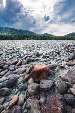 Yuvarlak taşlarla bared Katun nehir kıyısında. Dağ altay, Güney Sibirya, Rusya Federasyonu