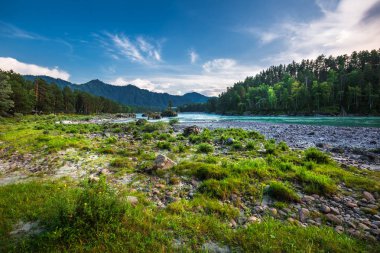 Dağ nehir Katun günbatımında dağlarla çevrili. Dağ altay, Güney Sibirya, Rusya Federasyonu