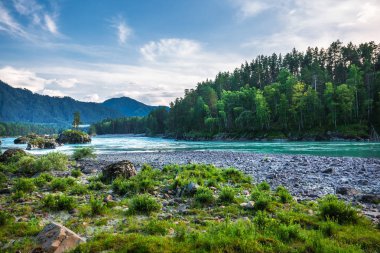 Dağ nehir Katun günbatımında dağlarla çevrili. Dağ altay, Güney Sibirya, Rusya Federasyonu