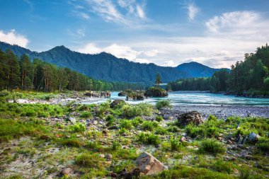 Dağ nehir Katun günbatımında dağlarla çevrili. Dağ altay, Güney Sibirya, Rusya Federasyonu