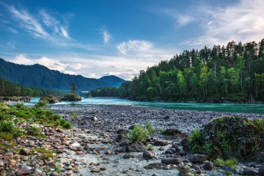 Dağ nehir Katun günbatımında dağlarla çevrili. Dağ altay, Güney Sibirya, Rusya Federasyonu