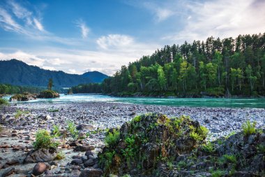 Dağ nehir Katun günbatımında dağlarla çevrili. Dağ altay, Güney Sibirya, Rusya Federasyonu