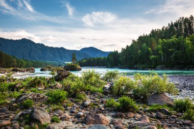Dağ nehir Katun günbatımında dağlarla çevrili. Dağ altay, Güney Sibirya, Rusya Federasyonu