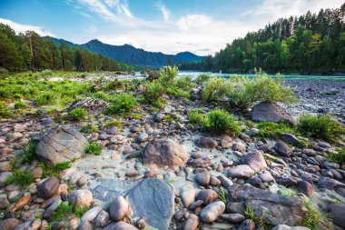 Dağ nehir Katun günbatımında dağlarla çevrili. Dağ altay, Güney Sibirya, Rusya Federasyonu