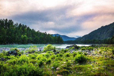 Dağ nehir Katun günbatımında dağlarla çevrili. Dağ altay, Güney Sibirya, Rusya Federasyonu
