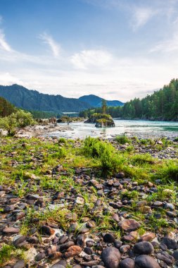Dağ nehir Katun günbatımında dağlarla çevrili. Dağ altay, Güney Sibirya, Rusya Federasyonu