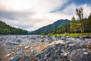Dağ nehir Katun günbatımında dağlarla çevrili. Dağ altay, Güney Sibirya, Rusya Federasyonu