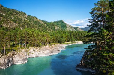 Katun nehrin kayalıklarla ve dağ manzarası. Dağ altay, Güney Sibirya, Rusya Federasyonu