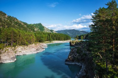 Katun nehrin kayalıklarla ve dağ manzarası. Dağ altay, Güney Sibirya, Rusya Federasyonu