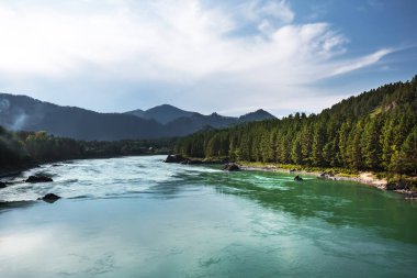 Köprüde Katun Nehri, Askat Köyü ve dağlar görünümden. Dağ altay, Güney Sibirya, Rusya Federasyonu