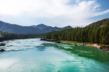 Köprüde Katun Nehri, Askat Köyü ve dağlar görünümden. Dağ altay, Güney Sibirya, Rusya Federasyonu