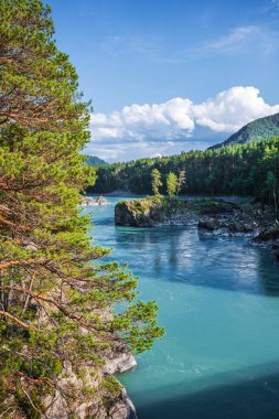 Katun nehrin kayalıklarla ve dağ manzarası. Dağ altay, Güney Sibirya, Rusya Federasyonu